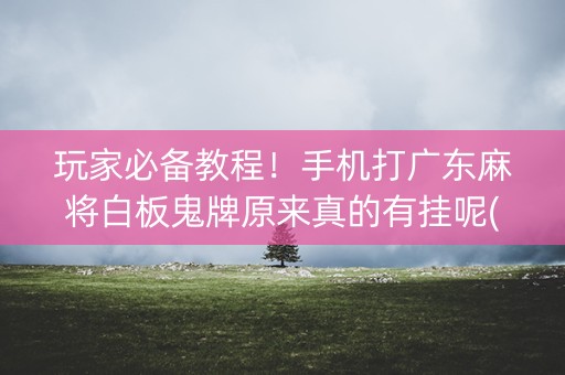 玩家必备教程！手机打广东麻将白板鬼牌原来真的有挂呢(确实有挂)