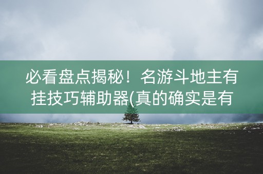 必看盘点揭秘！名游斗地主有挂技巧辅助器(真的确实是有挂)