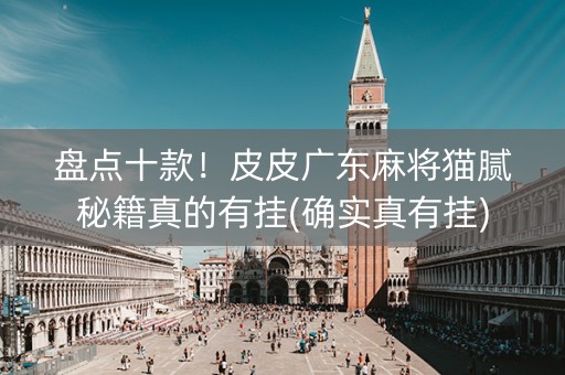盘点十款！皮皮广东麻将猫腻秘籍真的有挂(确实真有挂)