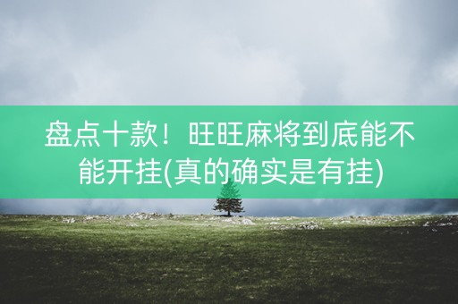 盘点十款！旺旺麻将到底能不能开挂(真的确实是有挂)