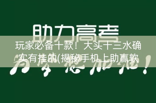 玩家必备十款！大头十三水确实有挂的(揭秘手机上助赢软件)