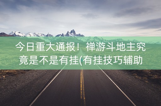 今日重大通报！禅游斗地主究竟是不是有挂(有挂技巧辅助器)