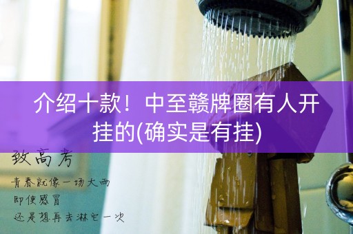 介绍十款！中至赣牌圈有人开挂的(确实是有挂)