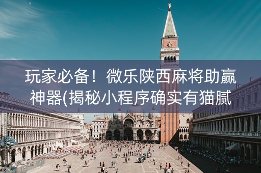 玩家必备！微乐陕西麻将助赢神器(揭秘小程序确实有猫腻)