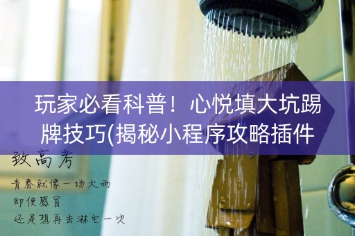 玩家必看科普！心悦填大坑踢牌技巧(揭秘小程序攻略插件)