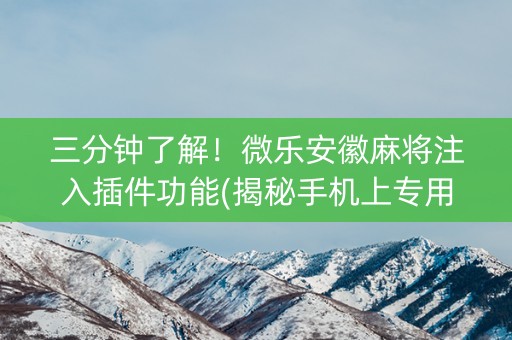 三分钟了解！微乐安徽麻将注入插件功能(揭秘手机上专用神器下载)