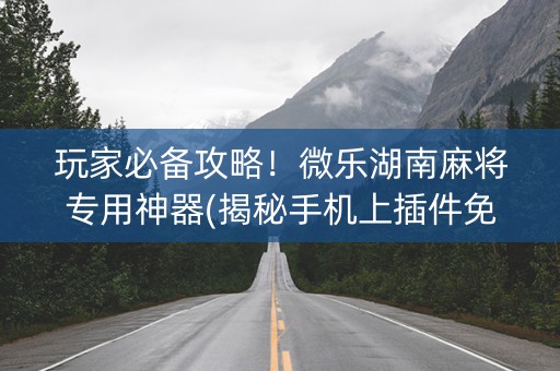 玩家必备攻略！微乐湖南麻将专用神器(揭秘手机上插件免费)