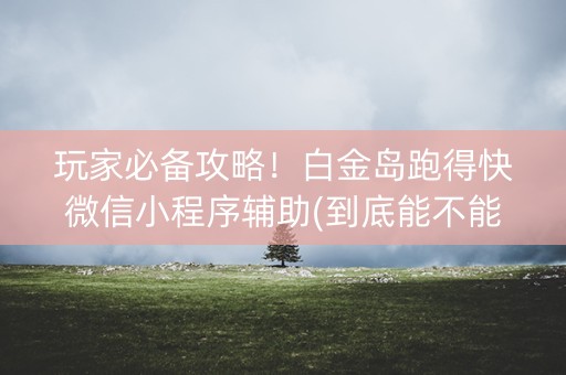 玩家必备攻略！白金岛跑得快微信小程序辅助(到底能不能开挂)