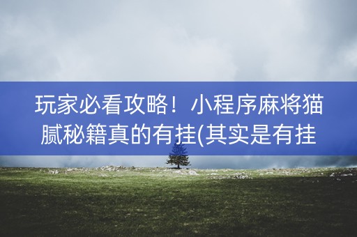玩家必看攻略！小程序麻将猫腻秘籍真的有挂(其实是有挂确实有挂)