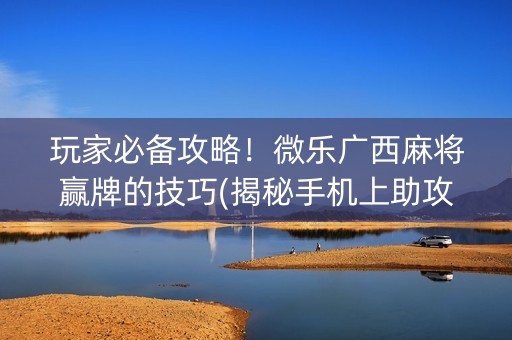 玩家必备攻略！微乐广西麻将赢牌的技巧(揭秘手机上助攻神器)