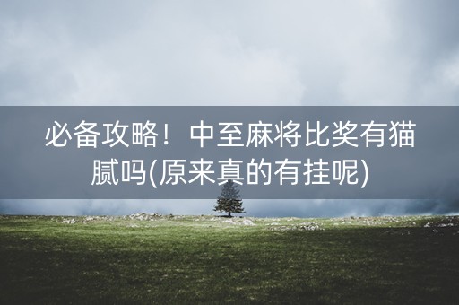 必备攻略！中至麻将比奖有猫腻吗(原来真的有挂呢)