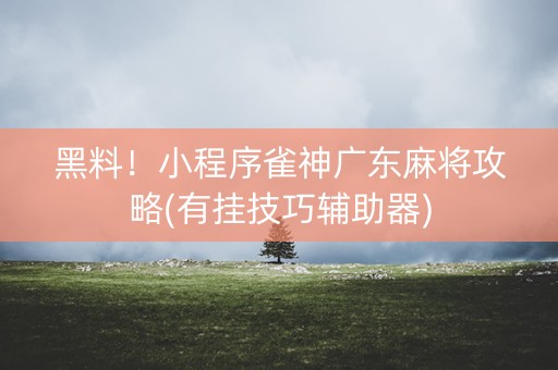 黑料！小程序雀神广东麻将攻略(有挂技巧辅助器)