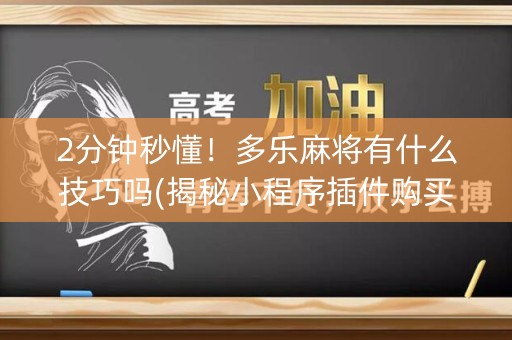 2分钟秒懂！多乐麻将有什么技巧吗(揭秘小程序插件购买)
