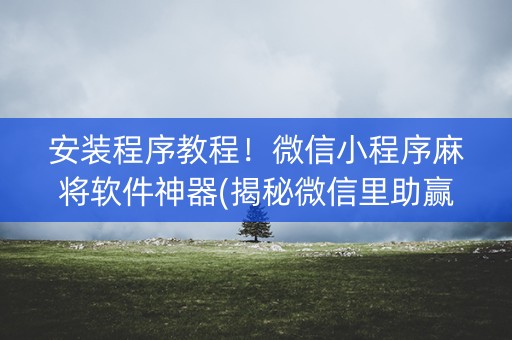 安装程序教程！微信小程序麻将软件神器(揭秘微信里助赢软件)