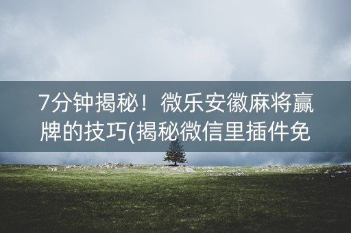 7分钟揭秘！微乐安徽麻将赢牌的技巧(揭秘微信里插件免费)