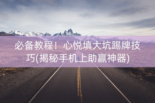 必备教程！心悦填大坑踢牌技巧(揭秘手机上助赢神器)