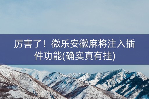 厉害了！微乐安徽麻将注入插件功能(确实真有挂)