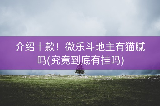 介绍十款！微乐斗地主有猫腻吗(究竟到底有挂吗)