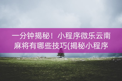 一分钟揭秘！小程序微乐云南麻将有哪些技巧(揭秘小程序输赢技巧)