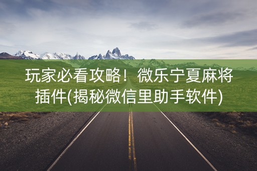 玩家必看攻略！微乐宁夏麻将插件(揭秘微信里助手软件)