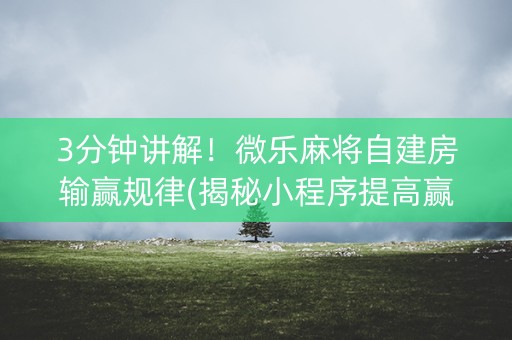 3分钟讲解！微乐麻将自建房输赢规律(揭秘小程序提高赢的概率)