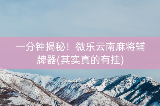 一分钟揭秘！微乐云南麻将辅牌器(其实真的有挂)