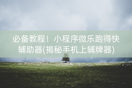 必备教程！小程序微乐跑得快辅助器(揭秘手机上辅牌器)