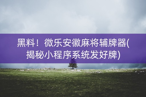黑料！微乐安徽麻将辅牌器(揭秘小程序系统发好牌)