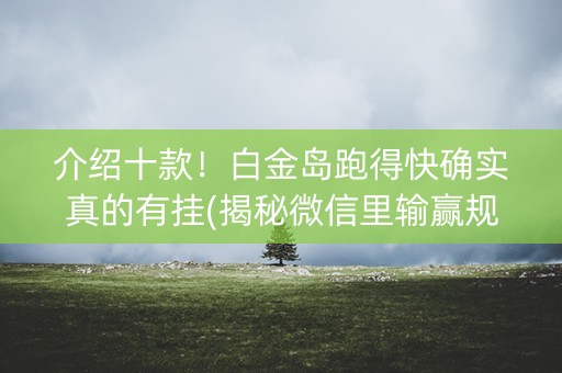 介绍十款！白金岛跑得快确实真的有挂(揭秘微信里输赢规律)