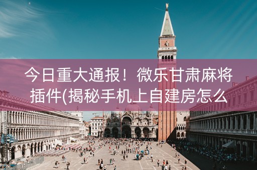 今日重大通报！微乐甘肃麻将插件(揭秘手机上自建房怎么赢)