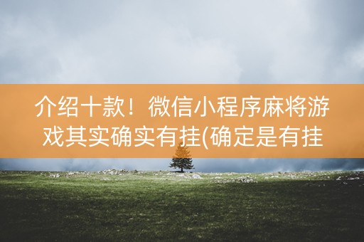 介绍十款！微信小程序麻将游戏其实确实有挂(确定是有挂)