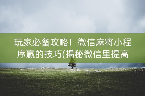 玩家必备攻略！微信麻将小程序赢的技巧(揭秘微信里提高胜率)