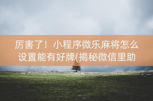 厉害了！小程序微乐麻将怎么设置能有好牌(揭秘微信里助赢神器购买)