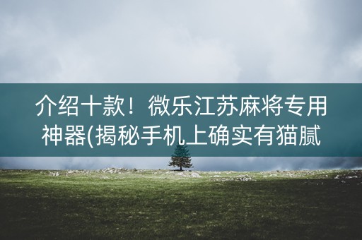 介绍十款！微乐江苏麻将专用神器(揭秘手机上确实有猫腻)