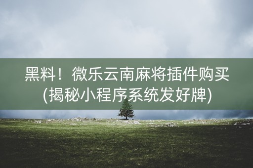 黑料！微乐云南麻将插件购买(揭秘小程序系统发好牌)