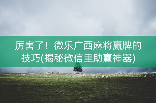 厉害了！微乐广西麻将赢牌的技巧(揭秘微信里助赢神器)