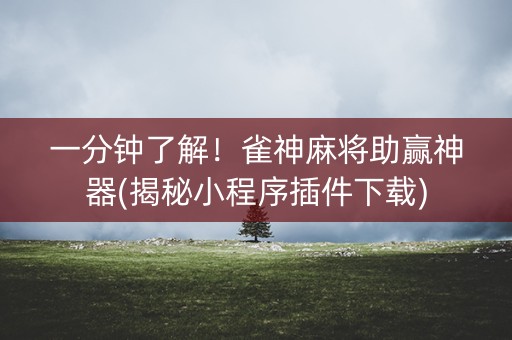 一分钟了解！雀神麻将助赢神器(揭秘小程序插件下载)