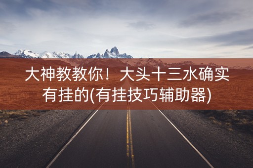大神教教你！大头十三水确实有挂的(有挂技巧辅助器)
