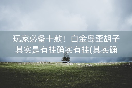 玩家必备十款！白金岛歪胡子其实是有挂确实有挂(其实确实有挂)