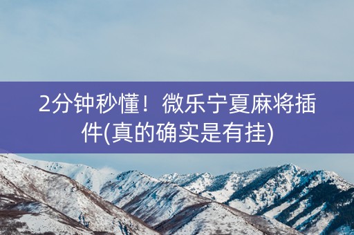 2分钟秒懂！微乐宁夏麻将插件(真的确实是有挂)