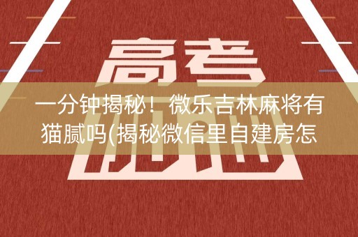 一分钟揭秘！微乐吉林麻将有猫腻吗(揭秘微信里自建房怎么赢)