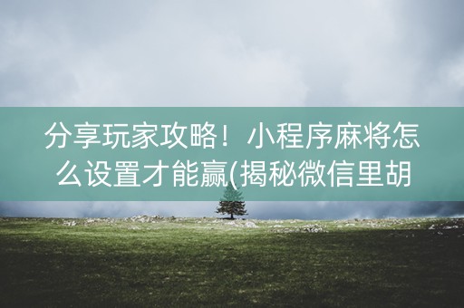 分享玩家攻略！小程序麻将怎么设置才能赢(揭秘微信里胡牌神器)