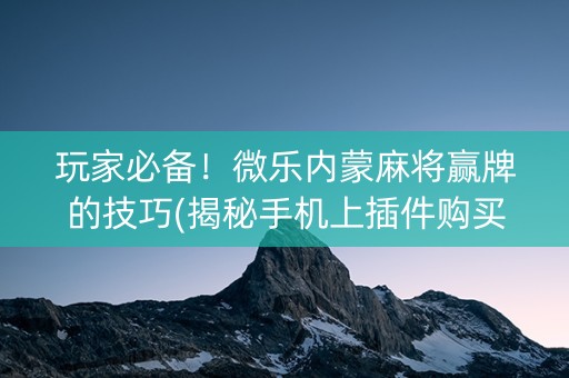玩家必备！微乐内蒙麻将赢牌的技巧(揭秘手机上插件购买)