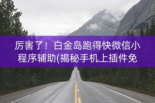 厉害了！白金岛跑得快微信小程序辅助(揭秘手机上插件免费)