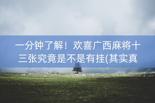 一分钟了解！欢喜广西麻将十三张究竟是不是有挂(其实真的有挂)