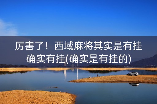 厉害了！西域麻将其实是有挂确实有挂(确实是有挂的)