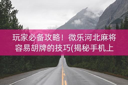 玩家必备攻略！微乐河北麻将容易胡牌的技巧(揭秘手机上攻略插件)