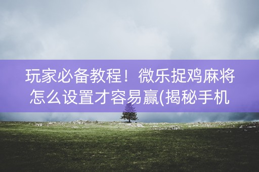 玩家必备教程！微乐捉鸡麻将怎么设置才容易赢(揭秘手机上胡牌技巧)