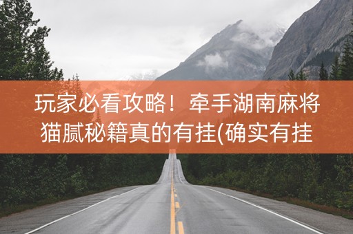 玩家必看攻略！牵手湖南麻将猫腻秘籍真的有挂(确实有挂吗)