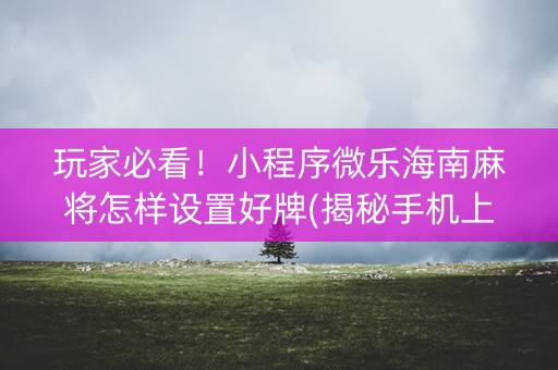 玩家必看！小程序微乐海南麻将怎样设置好牌(揭秘手机上助手软件)